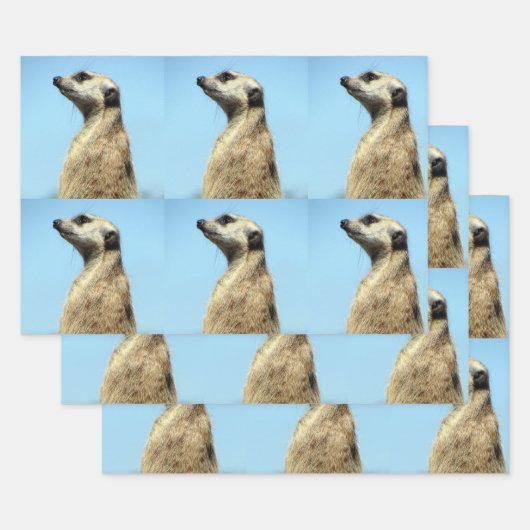 メルカートラッピング紙シート ラッピングペーパーシート (セット)