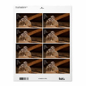 メルカート出荷ラベル ラベル (フルシート)