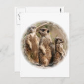 メルカート家族はがき ポストカード (正面/裏面)