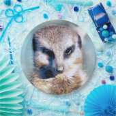 メルカート紙プレート ペーパープレート (パーティー)