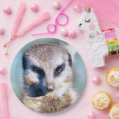 メルカート紙プレート ペーパープレート (パーティー)