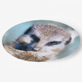 メルカート紙プレート ペーパープレート (アングル)