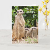 メルカート集団誕生日カード カード (黄色い花)