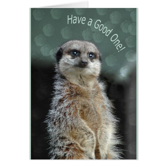 メルカート (正面)