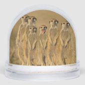 メルカート (正面)