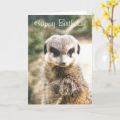 メルカート カード (黄色い花)