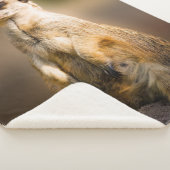 メルカート シェルパブランケット (3/4)