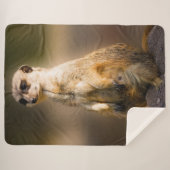 メルカート シェルパブランケット (正面(横))