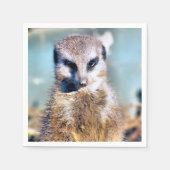 メルカート スタンダードカクテルナプキン (正面)