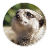 メルカート セラミックノブ (正面)