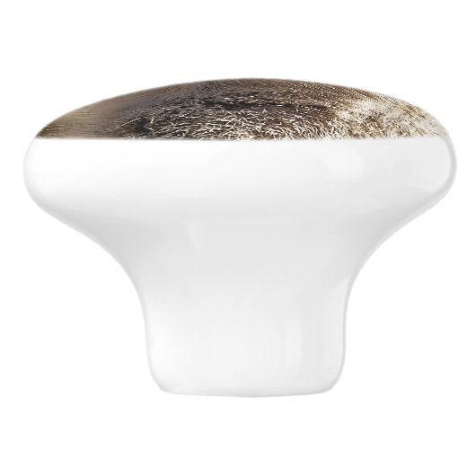 メルカート セラミックノブ (側面)