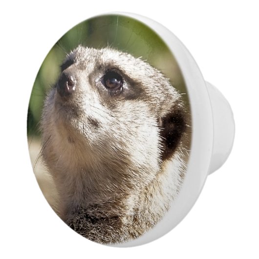 メルカート セラミックノブ (右)