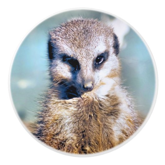 メルカート セラミックノブ (正面)