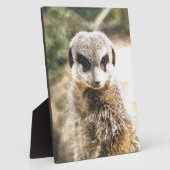 メルカート フォトプラーク (側面)