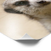 メルカート フォトプリント            (角)