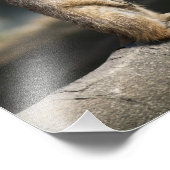 メルカート フォトプリント            (角)