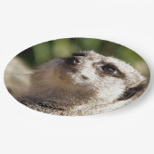 メルカート ペーパープレート (アングル)