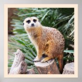 メルカート ポスター (正面)