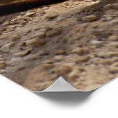 メルカート ポスター (角)