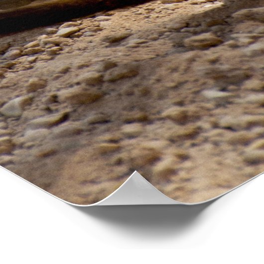 メルカート ポスター (角)