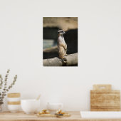 メルカート ポスター (キッチン)