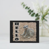 メルカート ポストカード (スタンド正面)