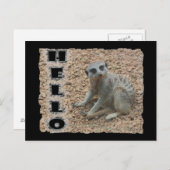 メルカート ポストカード (正面/裏面)