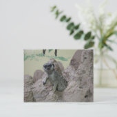 メルカート ポストカード (スタンド正面)