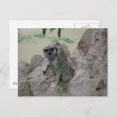 メルカート ポストカード (正面/裏面)