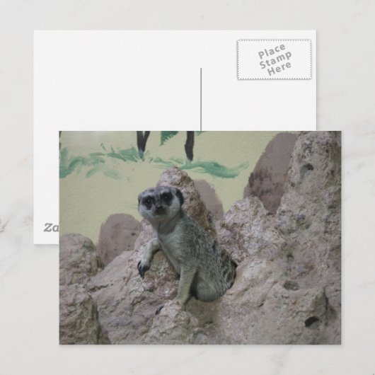 メルカート ポストカード (正面/裏面)