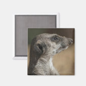 メルカート マグネット (正面/裏面)