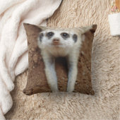 メルカート（摺方スリカッタ）クーリングダウン クッション (ブランケット)