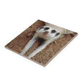 メルカート(摺方スリカッタ)クーリングダウン タイル (側面)