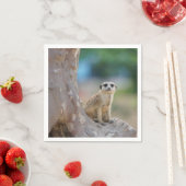 メルカートSat on Tree スタンダードカクテルナプキン (インサイチュ)