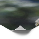 メルカ ポスター (角)