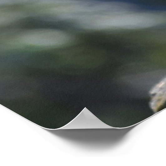 メルカ ポスター (角)