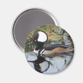 メルガンサーダック マグネット (正面/裏面)