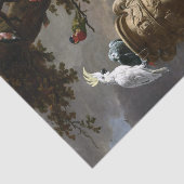 メルキオールドホンデコータザメナジェリー 薄葉紙 (詳細)