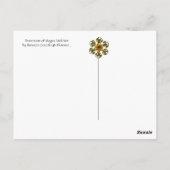 メルキオール賢者行列, 騎馬, 野猫 ポストカード (裏面)