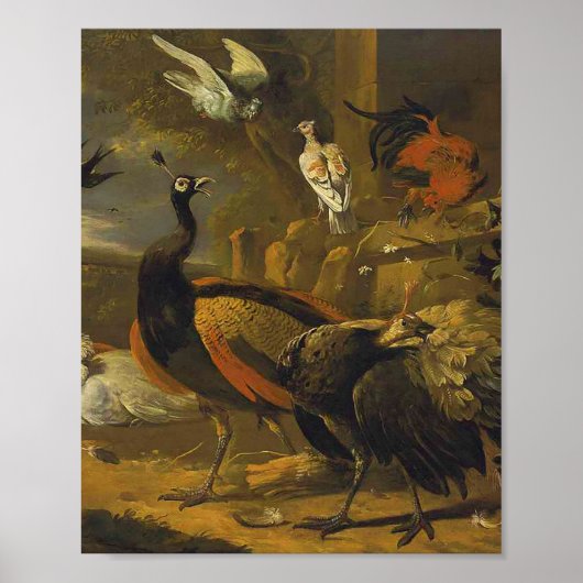 メルキオールD'Hondecoeter – 公園の鳥 ポスター (正面)