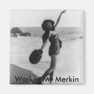 メルキン磁石 マグネット