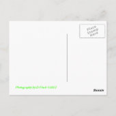 メルクSLR ポストカード (裏面)