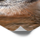 メルケートポスタープリント ポスター (角)