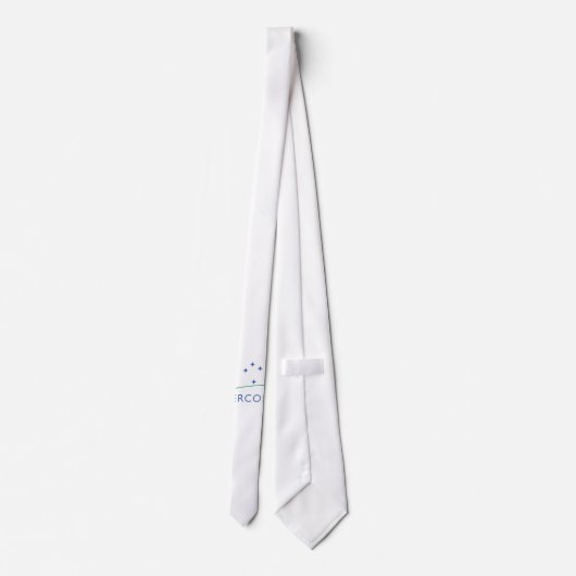 メルコスル ネクタイ (裏面)