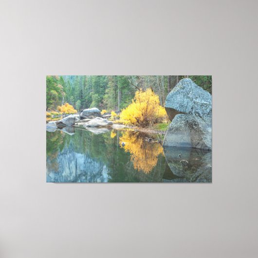 メルセド秋 キャンバスプリント (正面)