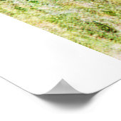 メルチエタのポスター ポスター (角)