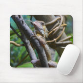 メルテンの水モニター マウスパッド (マウス)