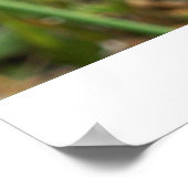 メルビーのポスター ポスター (角)