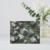 メルブ。ボタニックガーデンズ1はがき ポストカード (スタンド正面)