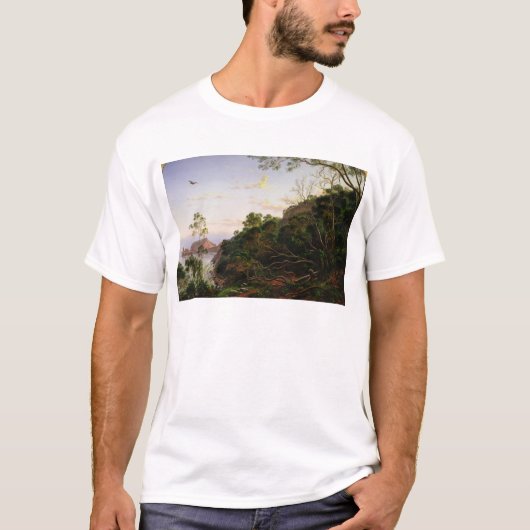 メルボルンの近くの講壇の石 Tシャツ (正面)